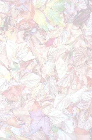 Mat of Fall Leaves