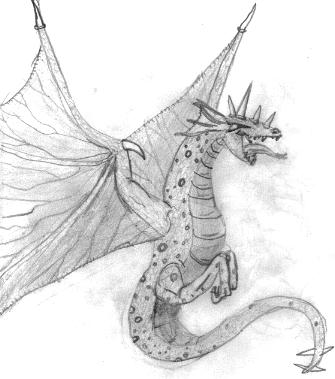 Dragon illustration by Amos, age 14